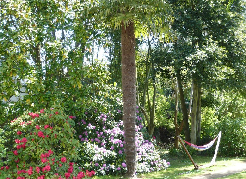 Villa Saint Raphaël Extérieur photo